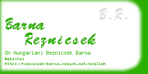 barna reznicsek business card